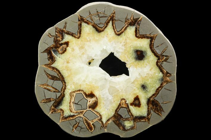 Polished Septarian Slab With Crystals - Utah #119707